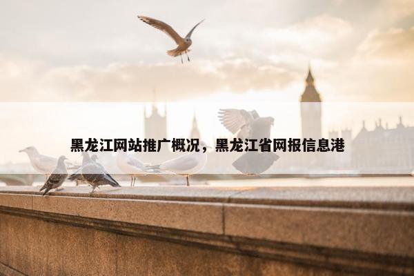 黑龙江网站推广概况，黑龙江省网报信息港