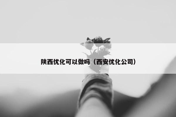 陕西优化可以做吗（西安优化公司）