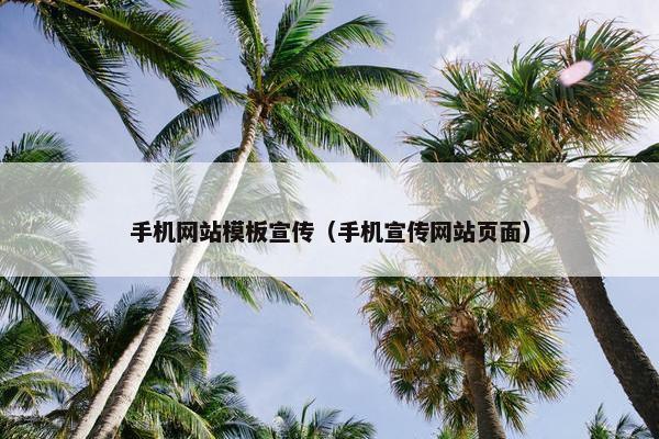 手机网站模板宣传（手机宣传网站页面）