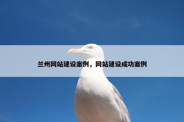 兰州网站建设案例，网站建设成功案例