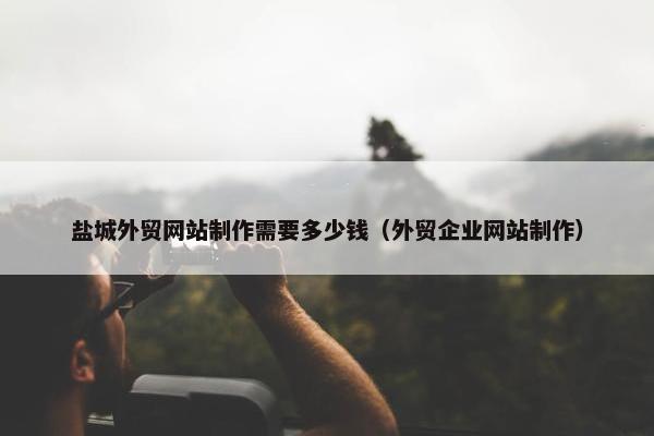 盐城外贸网站制作需要多少钱（外贸企业网站制作）