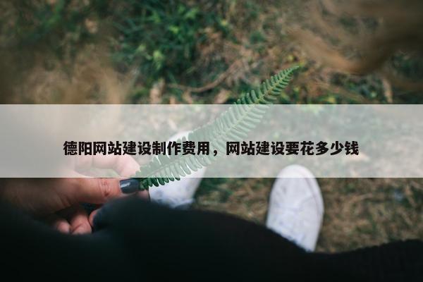 德阳网站建设制作费用，网站建设要花多少钱