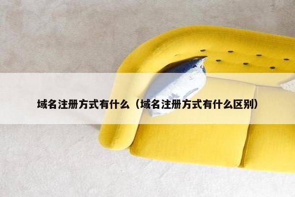 域名注册方式有什么（域名注册方式有什么区别）