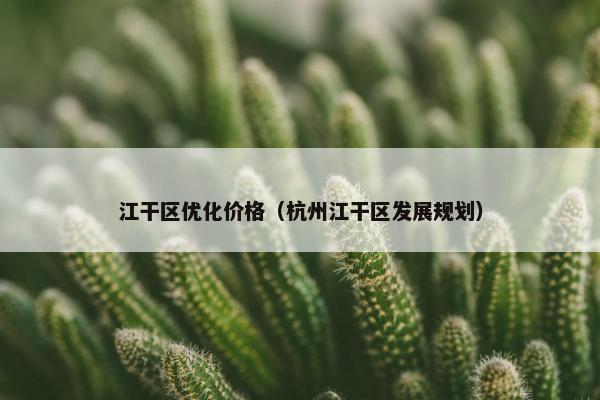 江干区优化价格（杭州江干区发展规划）
