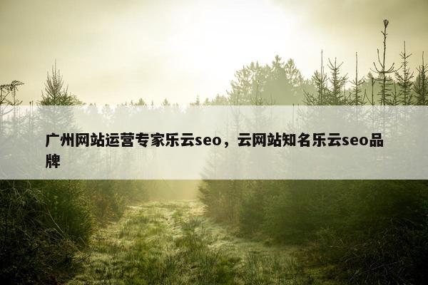 广州网站运营专家乐云seo，云网站知名乐云seo品牌