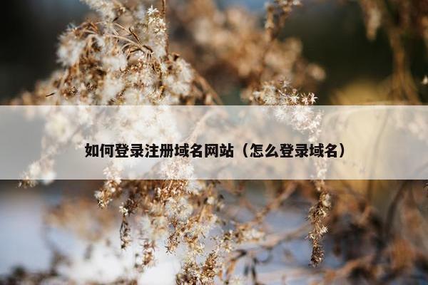 如何登录注册域名网站（怎么登录域名）