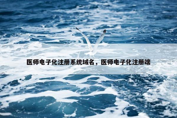 医师电子化注册系统域名，医师电子化注册端