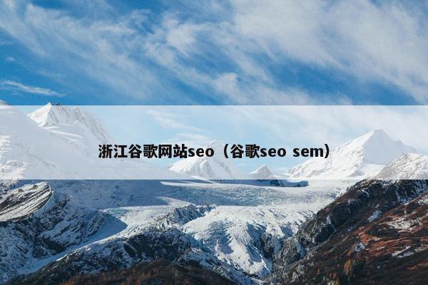 浙江谷歌网站seo（谷歌seo sem）