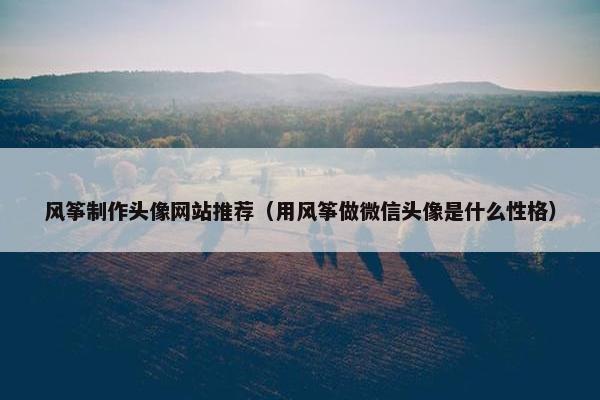 风筝制作头像网站推荐（用风筝做微信头像是什么性格）