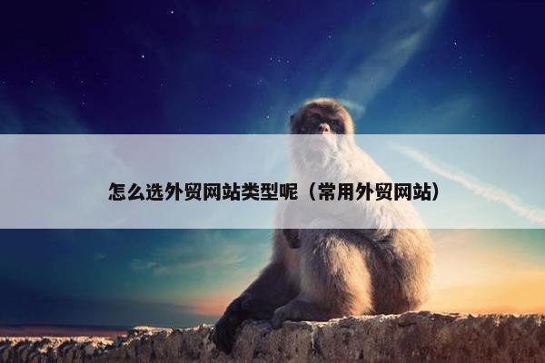 怎么选外贸网站类型呢（常用外贸网站）