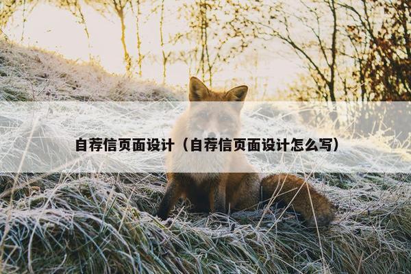 自荐信页面设计（自荐信页面设计怎么写）