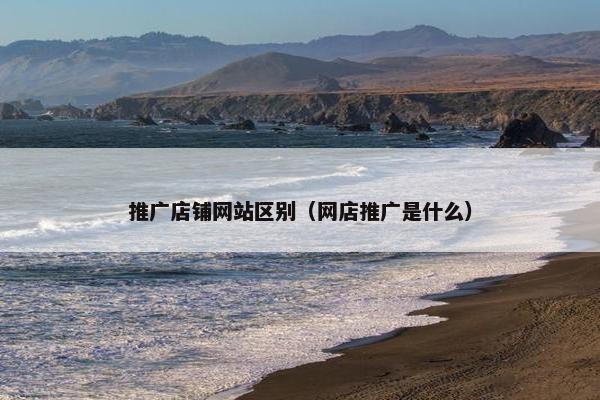 推广店铺网站区别（网店推广是什么）