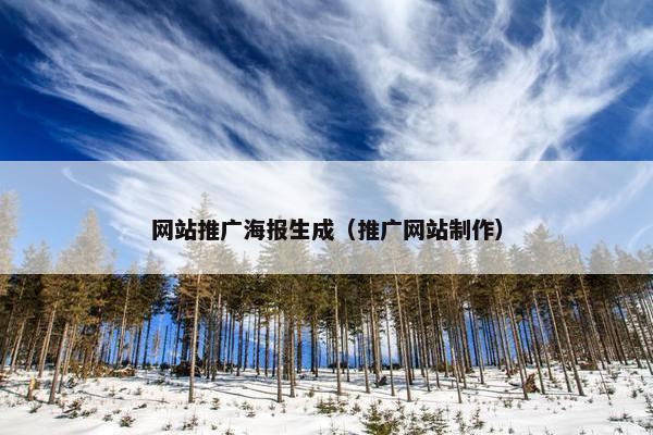 网站推广海报生成（推广网站制作）