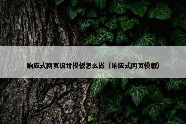 响应式网页设计模板怎么做（响应式网页模版）
