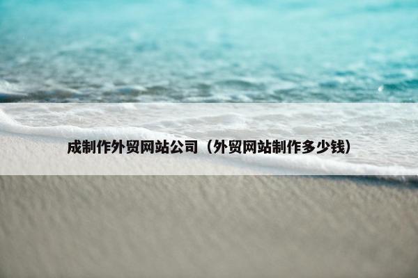 成制作外贸网站公司（外贸网站制作多少钱）