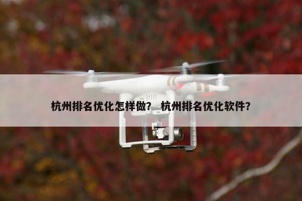 杭州排名优化怎样做？ 杭州排名优化软件？