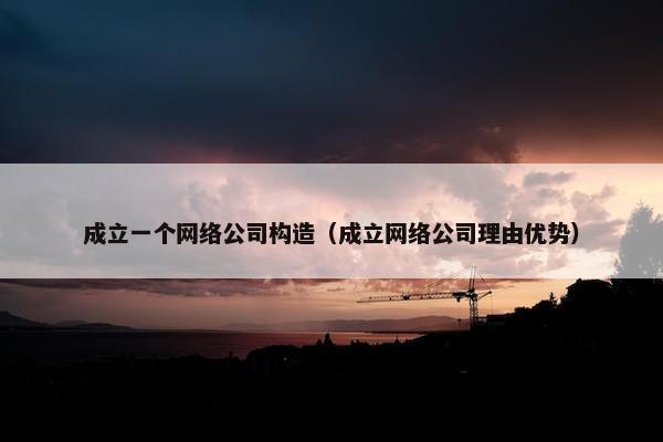 成立一个网络公司构造（成立网络公司理由优势）