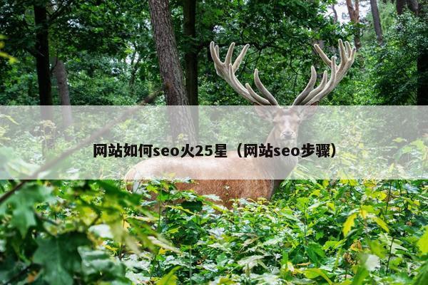 网站如何seo火25星（网站seo步骤）