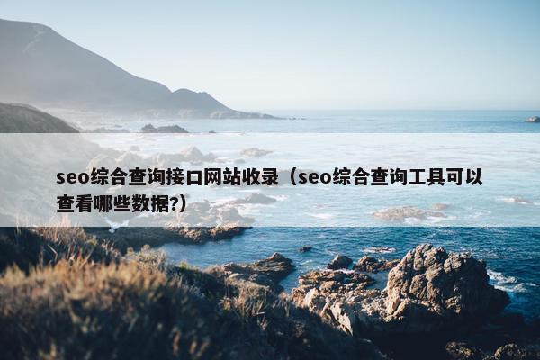 seo综合查询接口网站收录（seo综合查询工具可以查看哪些数据?）