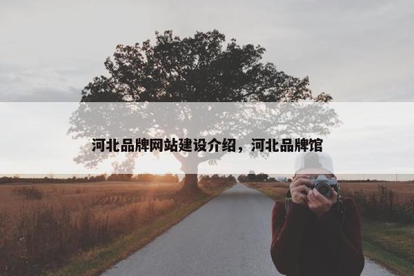 河北品牌网站建设介绍，河北品牌馆