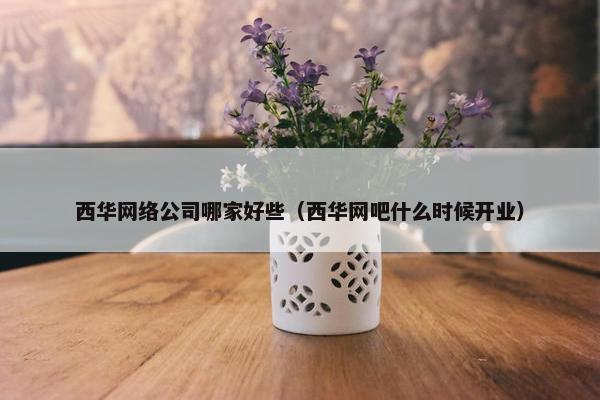 西华网络公司哪家好些（西华网吧什么时候开业）