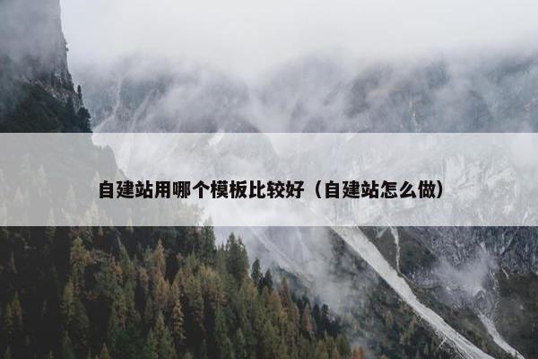 自建站用哪个模板比较好（自建站怎么做）