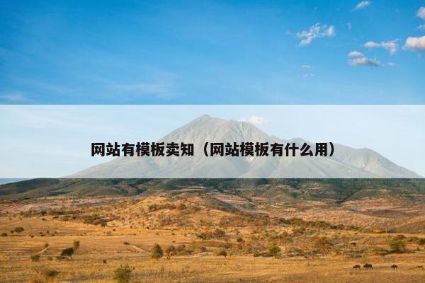 网站有模板卖知（网站模板有什么用）