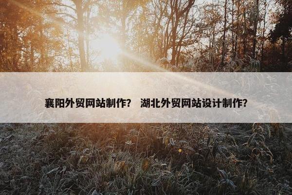 襄阳外贸网站制作？ 湖北外贸网站设计制作？