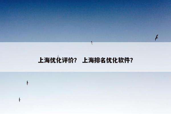 上海优化评价？ 上海排名优化软件？