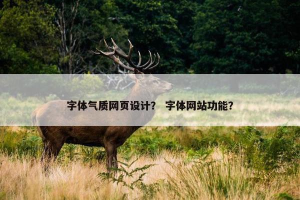 字体气质网页设计？ 字体网站功能？