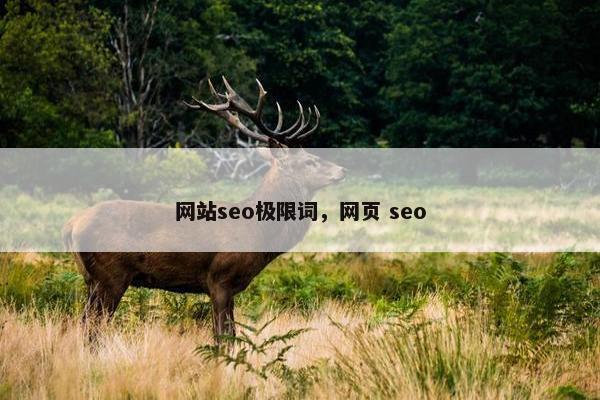 网站seo极限词，网页 seo