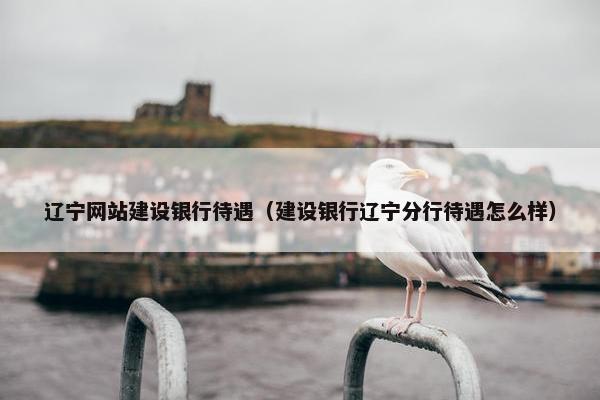 辽宁网站建设银行待遇（建设银行辽宁分行待遇怎么样）