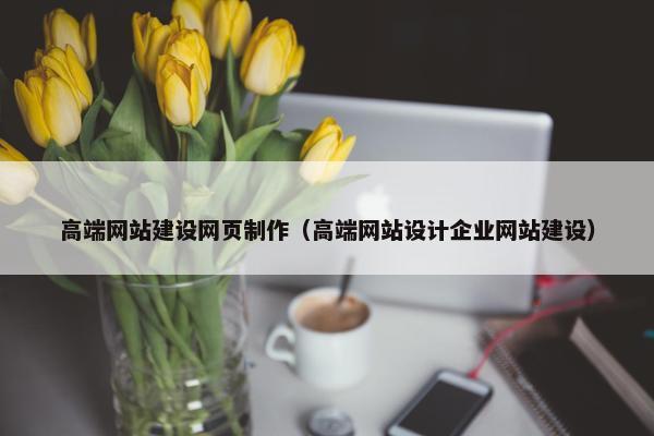 高端网站建设网页制作（高端网站设计企业网站建设）