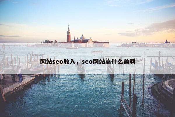 网站seo收入，seo网站靠什么盈利