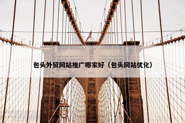 包头外贸网站推广哪家好（包头网站优化）