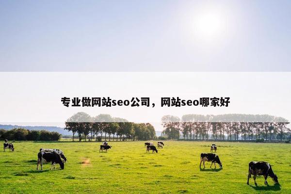 专业做网站seo公司，网站seo哪家好