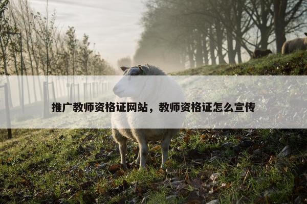 推广教师资格证网站，教师资格证怎么宣传