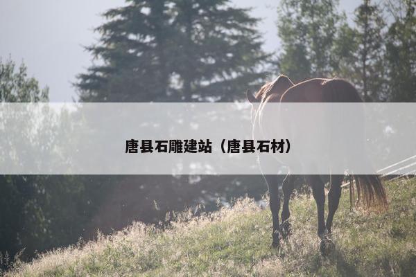 唐县石雕建站（唐县石材）