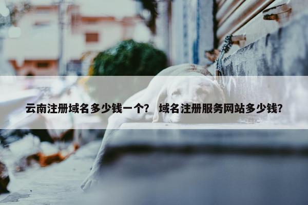 云南注册域名多少钱一个？ 域名注册服务网站多少钱？