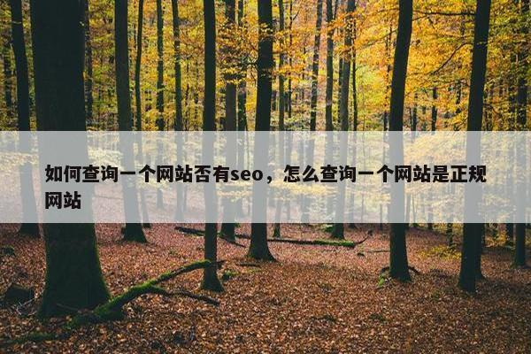 如何查询一个网站否有seo，怎么查询一个网站是正规网站