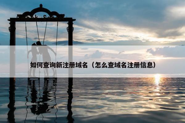 如何查询新注册域名（怎么查域名注册信息）