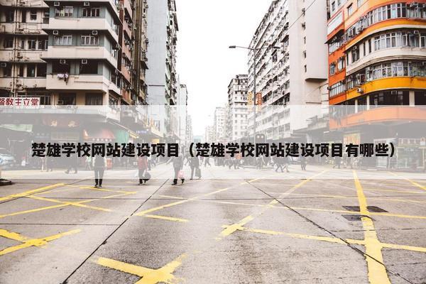 楚雄学校网站建设项目（楚雄学校网站建设项目有哪些）