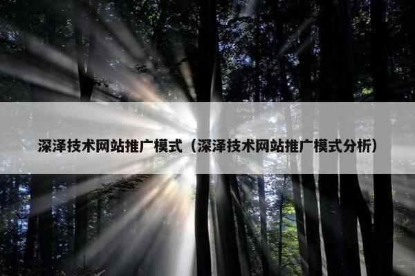 深泽技术网站推广模式（深泽技术网站推广模式分析）