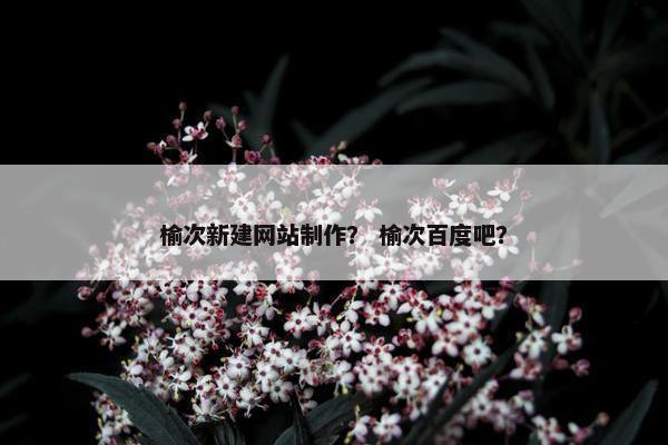 榆次新建网站制作？ 榆次百度吧？