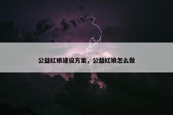 公益红娘建设方案，公益红娘怎么做