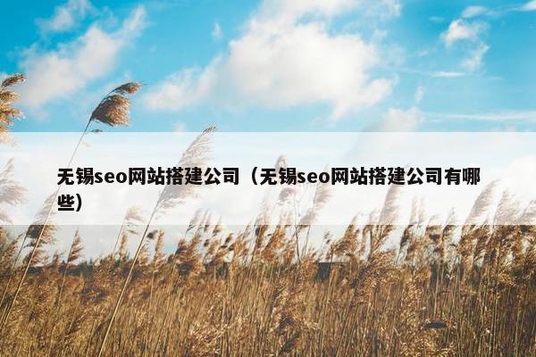 无锡seo网站搭建公司（无锡seo网站搭建公司有哪些）