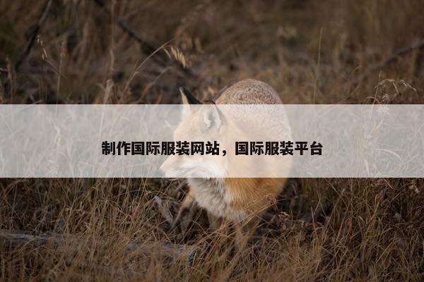 制作国际服装网站，国际服装平台