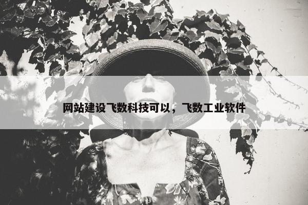 网站建设飞数科技可以，飞数工业软件
