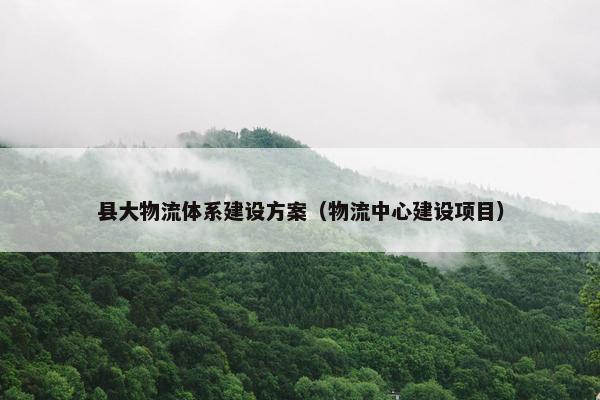 县大物流体系建设方案（物流中心建设项目）