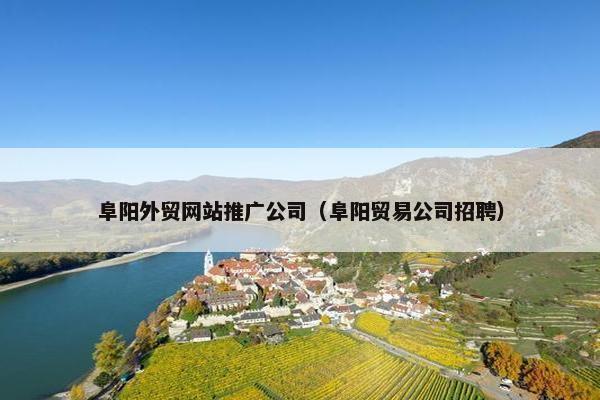 阜阳外贸网站推广公司（阜阳贸易公司招聘）
